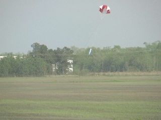 Periwinkle's Pride, Flight 2